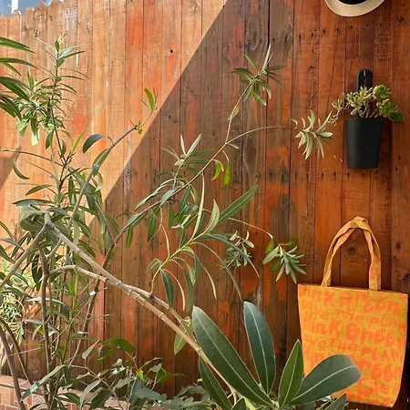 Urban Waves With 2 Bedrooms And Terace * Constanţa